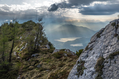 Panoramic view of trees and mountains against sky