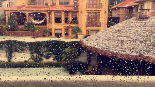 Close-up of water drops on car window