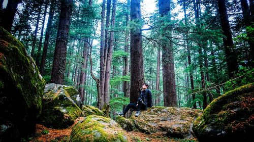 Man standing amidst trees in forest