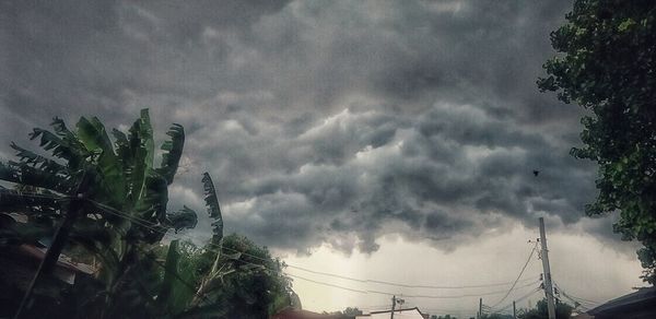 Low angle view of palm trees against storm clouds