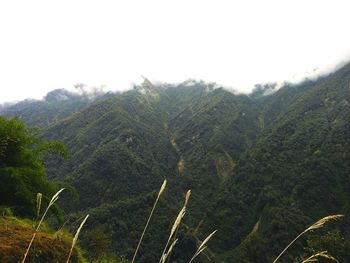 Scenic view of landscape against clear sky