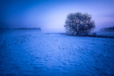 Scenic view of snow covered field against blue sky