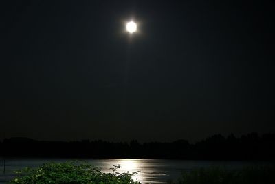 Reflection of illuminated trees in water at night