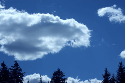 Low angle view of silhouette trees against blue sky