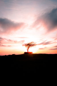 Silhouette trees on field against sky during sunset