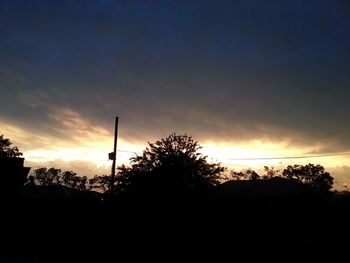 Silhouette of trees at sunset