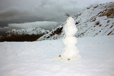 White horse on snow covered field against sky