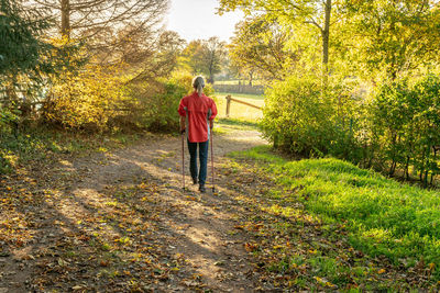 Rear view of woman walking on footpath