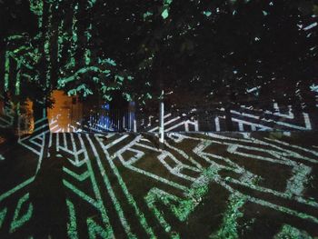 High angle view of trees in park at night