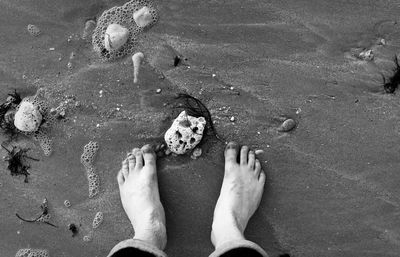 Low section of woman standing on beach