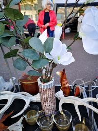 Close-up of potted plants on table