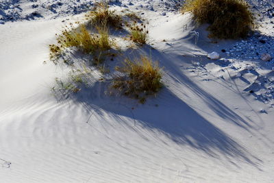 High angle view of snow on land