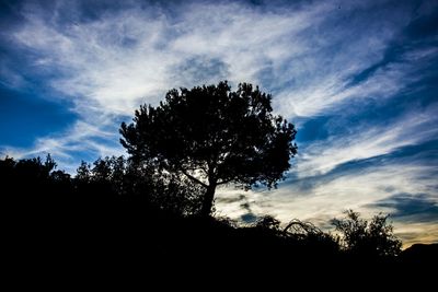 Silhouette of trees against cloudy sky