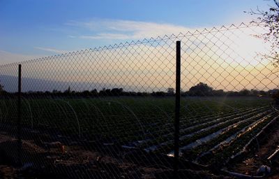 Field seen through chainlink fence