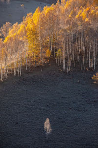 Scenic view of lake