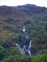 Scenic view of waterfall in forest