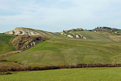 Scenic view of agricultural field against sky