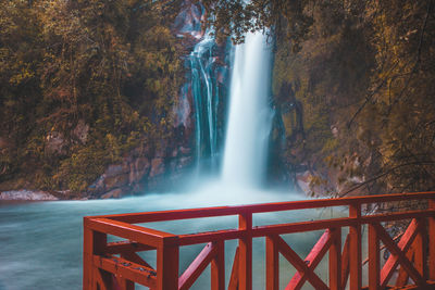 Scenic view of waterfall in forest