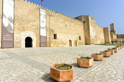 Potted plants on old building against sky