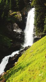 Scenic view of waterfall in forest