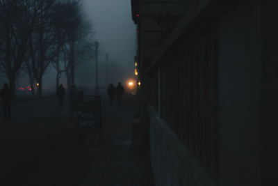 Silhouette people walking on street at night