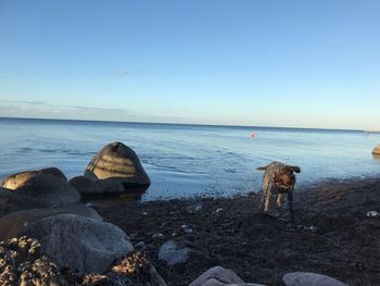 Scenic view of sea against clear sky