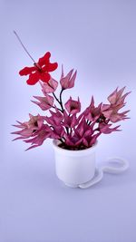 Close-up of flowers over white background