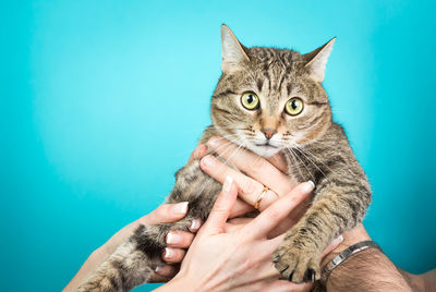 Portrait of young woman holding cat against blue sky