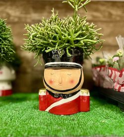 plant