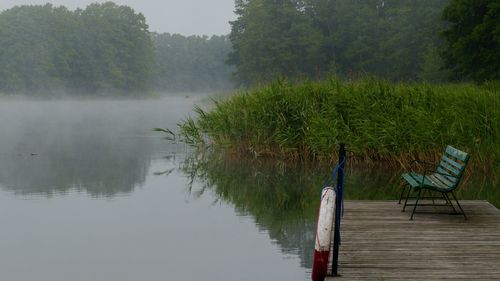 Wooden posts in lake during rainy season