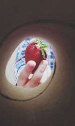 Close-up of hand holding fruit