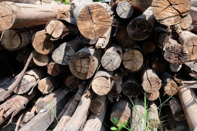 Close-up of logs