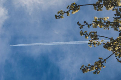 Low angle view of vapor trail in sky