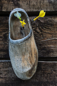 High angle view of potted plant on table