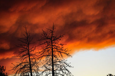Low angle view of silhouette bare tree against dramatic sky