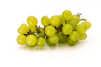 High angle view of grapes against white background