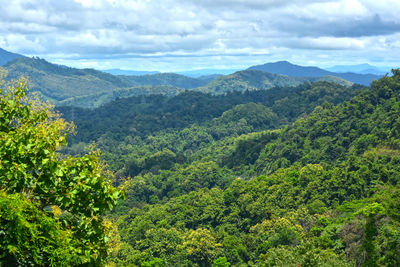 High angle view of trees and mountains against sky