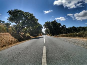 Road amidst trees against sky