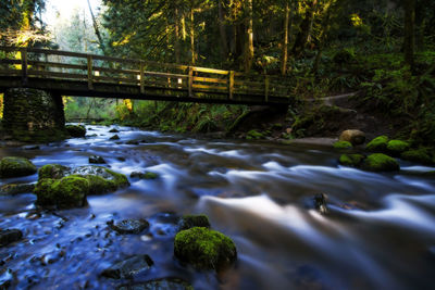 Close-up of bridge over river in forest