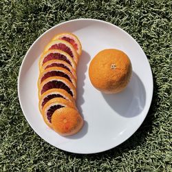 High angle view of cake served in plate