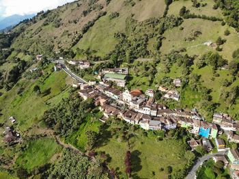High angle view of trees and buildings