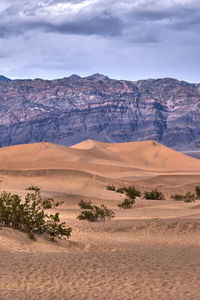 Scenic view of desert against sky