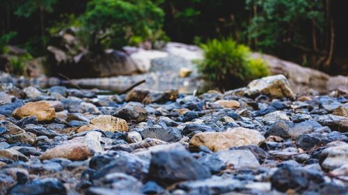 Surface level of stones