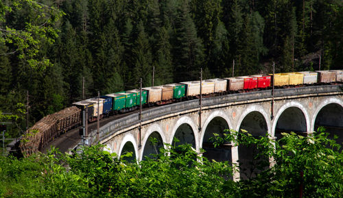 Arch bridge against trees