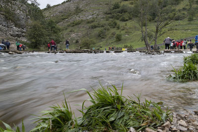 Group of people on shore against trees