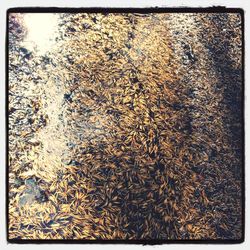 Full frame shot of white background