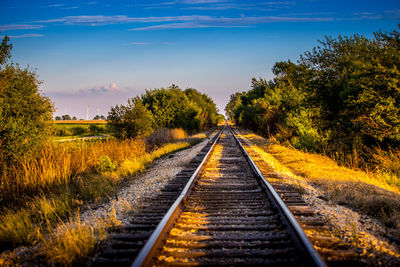 Railroad tracks amidst trees against sky