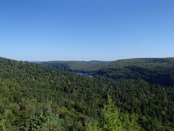 Scenic view of landscape against clear blue sky