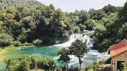Scenic view of waterfall in forest