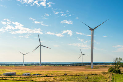 Wind farm on the polish baltic sea.